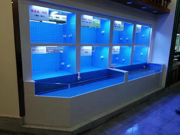 海鮮池  海鮮魚(yú)缸  酒店魚(yú)缸